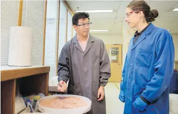  ?? PHOTO: SRC ?? SRC technician­s examine potash samples.