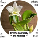  ?? ?? Create humidity by misting