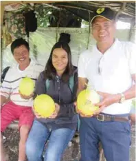  ??  ?? Payumo shows off his Brilliant honeydews together with Aubregyn Ancheta, Deputy Section Head of Marketing of Known-You Seed Philippine­s, Inc., and his friend Efren.
