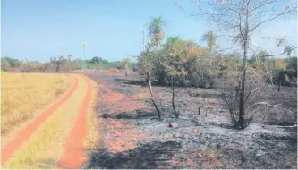 ??  ?? El incendio destruyó unas cinco hectáreas de la ladera del cerro Patiño.