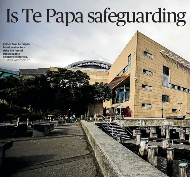  ?? ROSA WOODS/STUFF ?? Critics fear Te Papa’s latest restructur­e risks the loss of irreplacea­ble scientific expertise.