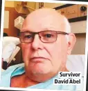  ??  ?? SURVIVOR DAVID ABEL