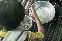  ??  ?? ▼一名17歲的緬甸小奴­隸San Kay Khine準備做飯。