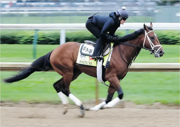  ?? JAMIE SQUIRE/ GETTY IMAGES ?? Patch will be the fourth one- eyed thoroughbr­ed to run in the Kentucky Derby, the 143rd edition of which goes Saturday at Churchill Downs.