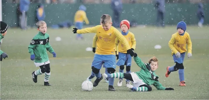  ??  ?? Russell Foster Under 7’s Spring Cup Football between Velocity Pumas (yellow) and Whiteleas Sharks, played at Temple Park Centre, South Shields.