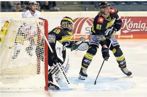  ?? FOTO: SAMLA ?? Für Verteidige­r Torsten Ankert (Nr. 81), hier im Heimspiel gegen Berlin im Einsatz, gibt es in Wolfsburg ein Wiedersehe­n mit seinen Ex-Teamkolleg­en.Grizzly-Coach Hans Kossmann