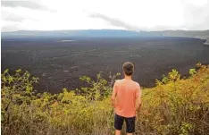  ??  ?? Felix am Rande eines Vulkans: „Der Krater war so groß, dass wir ihn gar nicht ganz auf ein Bild bekommen haben“, erzählt er.