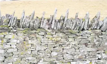  ??  ?? Enduring A typical drystone dyke in Tayside with ‘cock and hen’ coping. The image appears in Nick Aitken’s book on the walling technique