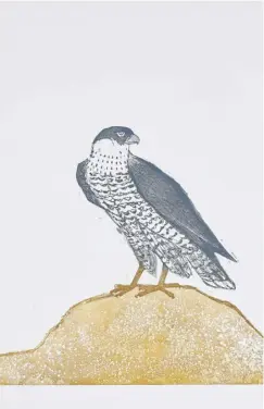  ?? ?? Elisabeth Frink (1930-1993) Peregrine Falcon, 1974. Etching with aquatint