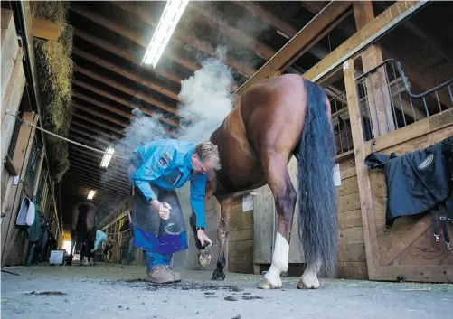  ?? Ben Nelms/ Postmedia News ?? National horseshoei­ng champ Iain Ritchie will compete at the World Champion Blacksmith­s’ Competitio­n at the Calgary Stampede.