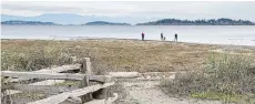  ??  ?? Search Rathtrevor Beach for “Tidal Treasures” a popular new beach combing activity in Parksville Qualicum Beach.