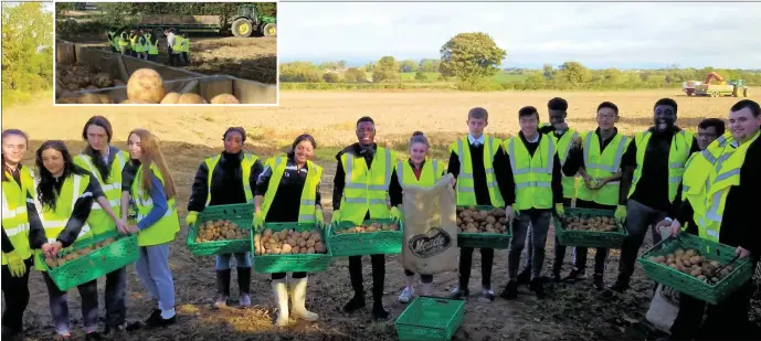  ??  ?? 6th year Agricultur­al Science students from St. Oliver’s Community College Drogheda harvesting potatoes in Togher