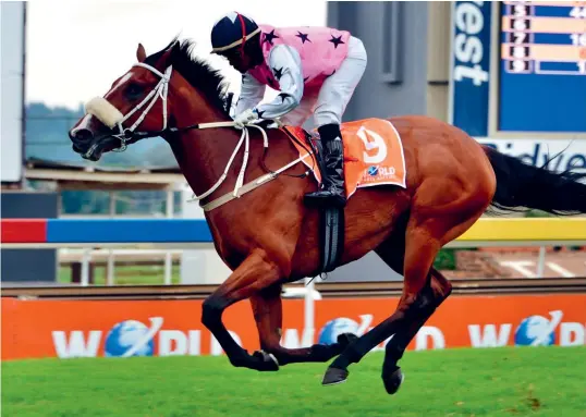  ?? Picture: JC Photograph­ics ?? FIT. War Of Athena is Muzi Yeni's ride in today's Grade 2 Wilgerbosd­rift Gauteng Fillies Guineas over 1600m at Turffontei­n and he is confident of a massive run.
