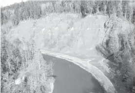  ?? GREATER GEORGIA BASIN STEELHEAD RECOVERY PLAN ?? Stabilizin­g the Stoltz Slide on the Cowichan River has made a huge difference to water quality and fish habitat.