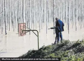  ?? MIGUEL ÁNGEL GRACIA ?? Muchos curiosos se acercaron a ver la evolución del río.