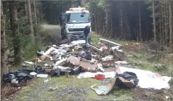  ??  ?? Dumping in the Wicklow Uplands in August 2018.