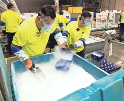  ?? PFIZER ?? Workers at Pfizer’s manufactur­ing site in Kalamazoo, Mich., fill buckets with dry ice that will be poured into thermal shipping containers holding the company’s COVID-19 vaccine, which needs to be kept at minus-94 degrees. The Johnson & Johnson vaccine, likely to be authorized by the end of the month, won’t have that requiremen­t.