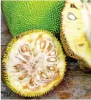  ??  ?? NEW CRAZE: The giant jackfruit