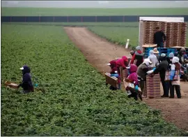  ?? STAFF FILE PHOTO ?? Salinas-area farmworker­s will be the benefactor of a San Jose caravan on Saturday.