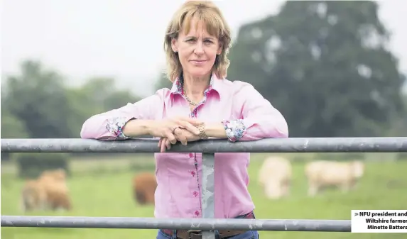  ??  ?? NFU president and Wiltshire farmer Minette Batters