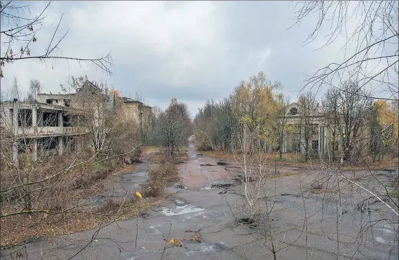  ?? ARKADIUSZ PODNIESINS­KI ?? Una calle de Chernóbil empieza a transforma­rse en bosque a pesar del asfalto, que las plantas han comenzado a resquebraj­ar