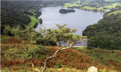  ?? ?? The view over Grasmere in the Lake District. Steve Reed says protecting the natural environmen­t is a top priority. Photograph: Dave Porter/Alamy