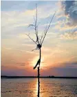  ??  ?? Best boot forward on the Broomway, left; trees were once used to mark the black sands that run along the coastline