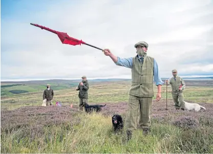  ?? Picture: Phil Wilkinson. ?? Social distancing and PPE will be features of the grouse-shooting season.