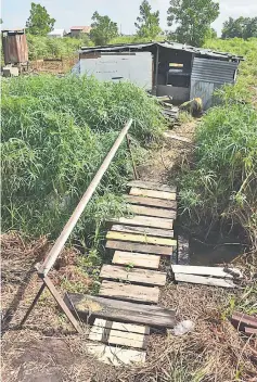  ??  ?? A plank walk in pitiful state used by children from poor families to get to their house.