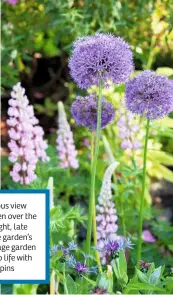  ??  ?? Left, the glorious view from the garden over the hills of Fife. Right, late spring sees the garden’s romantic co age garden theme come to life with alliums and lupins