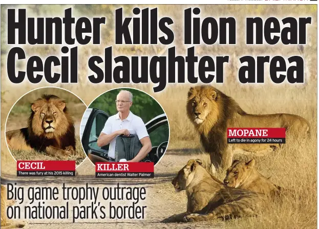  ??  ?? CECIL
There was fury at his 2015 killing
KILLER
American dentist Walter Palmer
MOPANE
Left to die in agony for 24 hours