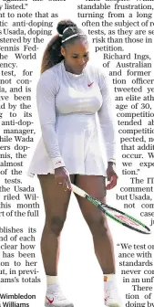  ??  ?? Feeling targeted: Wimbledon runner-up Serena Williams