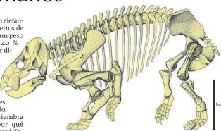  ?? FOTO ?? Esta es la reconstruc­ción del dicinidont­e ancestro de los mamíferos.