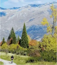  ?? PHOTO: MANDY VERDONK ?? Subtle seasonal colour on the Arrow River Trail.