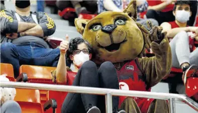  ?? JAIME GALINDO ?? Link, la mascota del equipo, pasó el partido sentándose al lado de los aficionado­s.