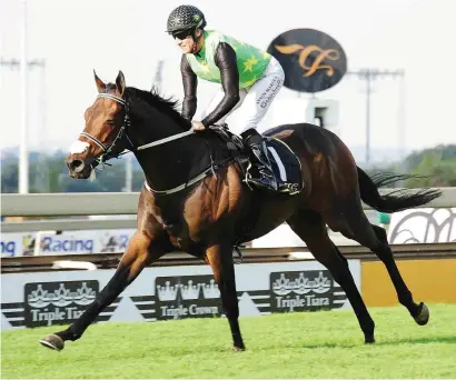 ??  ?? CHAMPION AGAIN. Legal Eagle was named Horse Of The Year for the second successive season at last night’s Equus Awards dinner held at Emperors Palace.