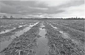  ?? ?? Heavy winter rains cause a problem in rural areas, where the water runs off frozen, bare farm land and increases soil erosion.