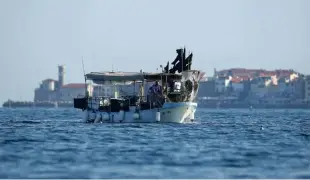 ??  ?? Slovenskim ribičem, ki nimajo večjih plovil, se ribolov v odprtem morju že zdaj večinoma ne izplača.