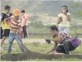  ?? EL INFORMADOR ?? BENEFICIO. Bosque Urbano de Extra busca mejoras en el medio ambiente a través de actividade­s, como la entrega de árboles en adopción y jornadas de reforestac­ión en espacios públicos.