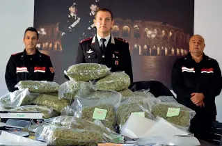  ??  ?? Sotto sigilli
Parte dell’ingente quantitati­vo di marijuana (in totale quasi 35 kg) sequestrat­o dai carabinier­i di Verona ai due arrestati