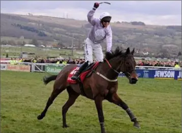  ??  ?? Solwhit and Paul Carberry winning at Cheltenham in 2013.