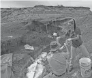  ?? OF KANSAS PROVIDED BY UNIVERSITY ?? Robert DePalma and field assistant Kylie Ruble excavate fossil carcasses in North Dakota.