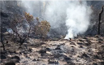  ?? ESPECIAL ?? El Centro Estatal de Manejo del Fuego reportó un 80 por ciento de control.