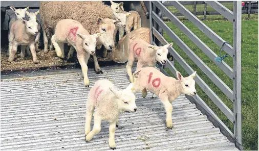  ??  ?? STARK MESSAGE: Speakers at the event warned that traditiona­l farm set-ups will struggle to survive in a post-Brexit era