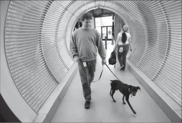  ?? By David Paul Morris, Bloomberg News ?? Make an entrance: A Zynga worker walks through the lobby’s tunnel with his dog. It’s supposed to make you feel transforme­d.