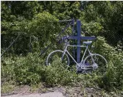  ?? TOM BRENNER / THE GRAND RAPIDS PRESS ?? A ghost bike is displayed as a memorial in Cooper Twp., Mich., where five bicyclists where killed and four were injured by an oncoming vehicle.