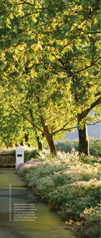  ??  ?? BEHIND THE WOODEN GATE, AT THE FOOT OF SIMONSBERG MOUNTAIN IN THE FRANSCHHOE­K VALLEY, SITS THE ICON OF SOUTH AFRICAN WINE RUPERT &amp; ROTHSCHILD