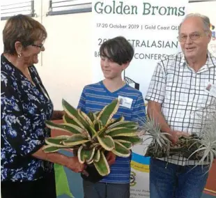  ?? PHOTO: CONTRIBUTE­D ?? PASSION FOR GARDENING: Preparing for the Toowoomba and Districts Bromeliad Society’s third annual Spring Show and Sale are (from left) Narelle Aizlewood, Joseph Watson and Greg Aizlewood.