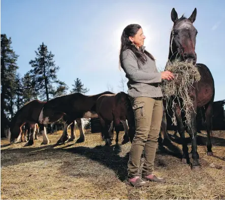 ?? LEAH HENNEL ?? Sandie Hucal, director of Free Spirit Sanctuary, is asking for donations so she can buy hay to keep the animals fed this winter.