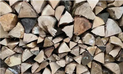  ?? ?? Well-stacked … Adrian's log pile. Photograph: Adrian Chiles